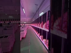 LED-transparante roosterscherm Verhuur evenementen Glas gordijn display venster P3.91 tot P7.82