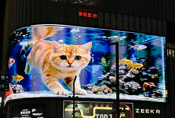 Op maat gemaakte buiten LED-videomuren LED-displays Aluminiumkasten