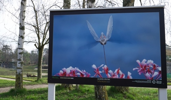 P4mm Openlucht Geleide Videomuren IP65 Vertoning van het Reclamescherm 62500 CCC van Puntenm2